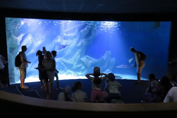 La Peucholière L’Aquarium de La Rochelle